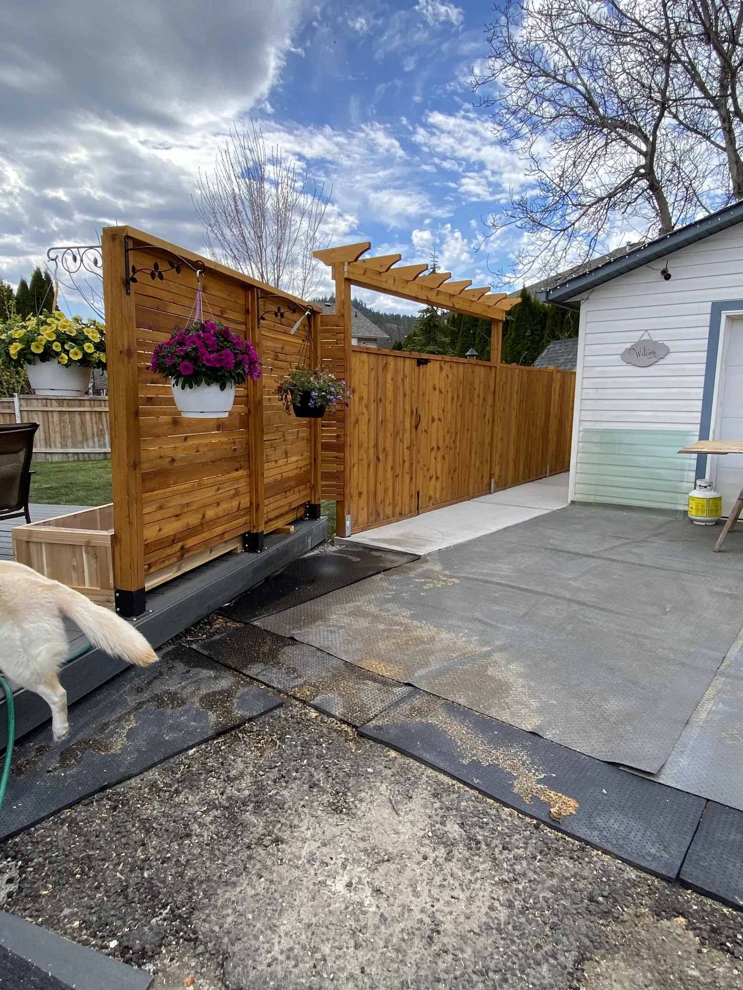 Custom cedar fence and gate by a driveway